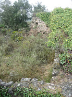 Runes de Salelles