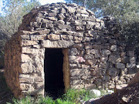 Navàs 2009