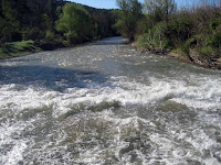 Riu Llobregat