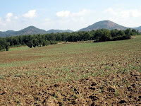 Moià 2009