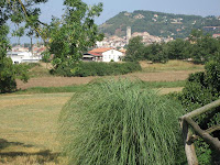 Moià 2009