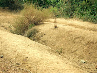 La Roca 2009