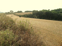 La Roca 2009