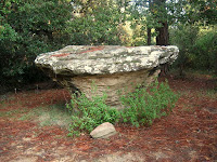 Bolet del Gegant