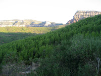 Vall del Tenes 2009