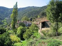 El Samon
