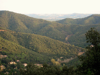 Montnegre 2009