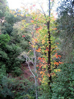 Montnegre 2009