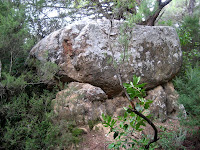 Llinars 2009