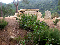 Dolmen de Ca l'Arenes