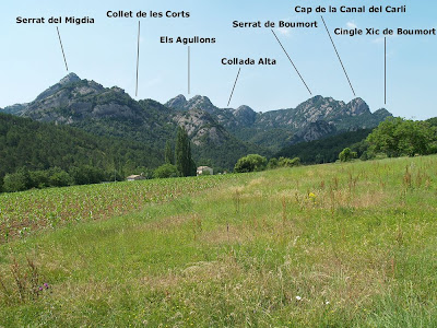 Vista de les Canals de Sant Miquel des de Cal Fusteret Vista de les Canals de Sant Miquel des de Cal Fusteret