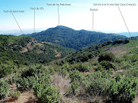 Vista de la Serra de les Pedritxes des de la base de la Punta dels Caus Cremats Vista de la Serra de les Pedritxes des de la base de la Punta dels Caus Cremats