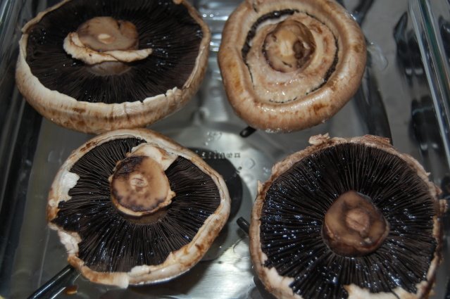 [CogumelosPortobello3.jpg]