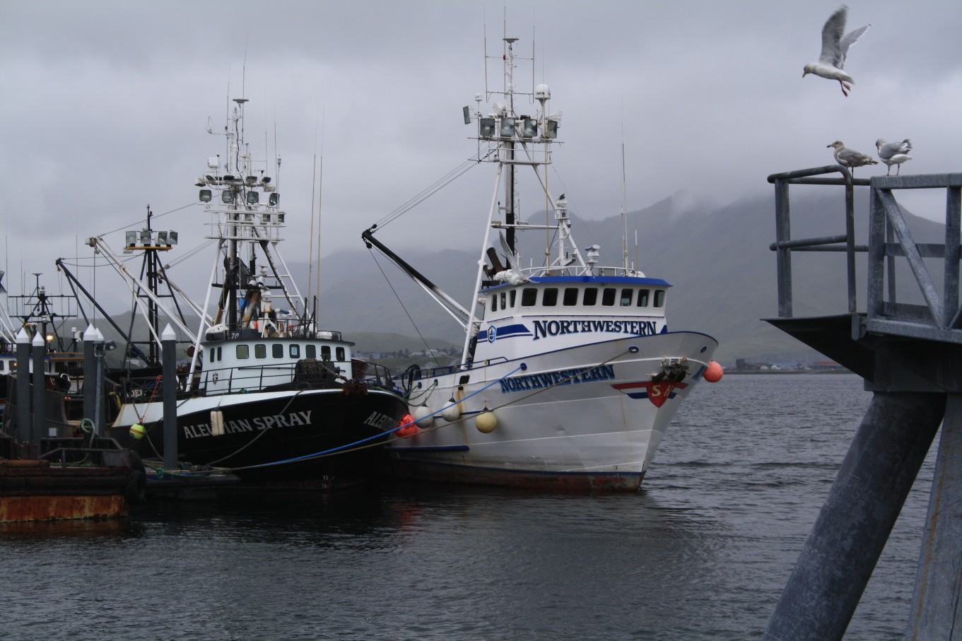 61_degrees_north Dutch Harbor Trip Report