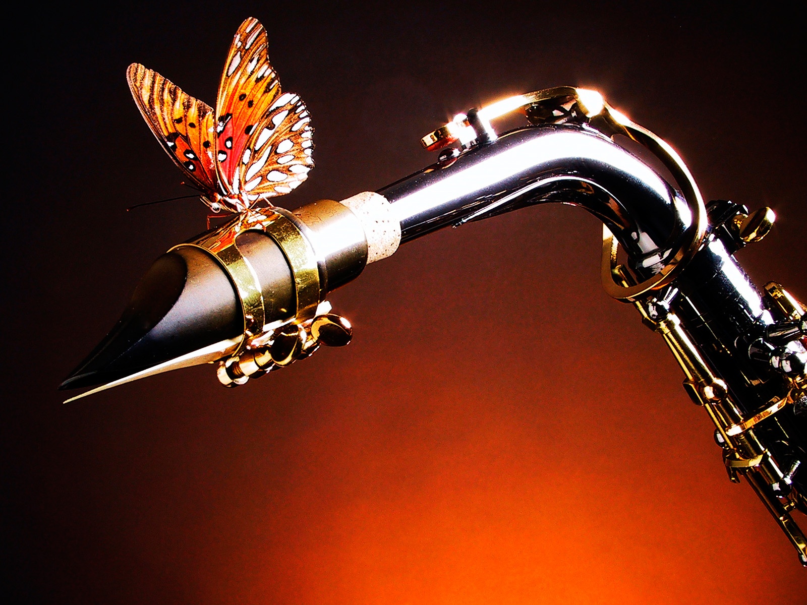 http://4.bp.blogspot.com/__c9qWlUD8Qs/TM1G5W373qI/AAAAAAAAMoA/NPZxwH7xOWw/s1600/Creative_Wallpaper_Sax_and_the_Butterfly_017401_.jpg