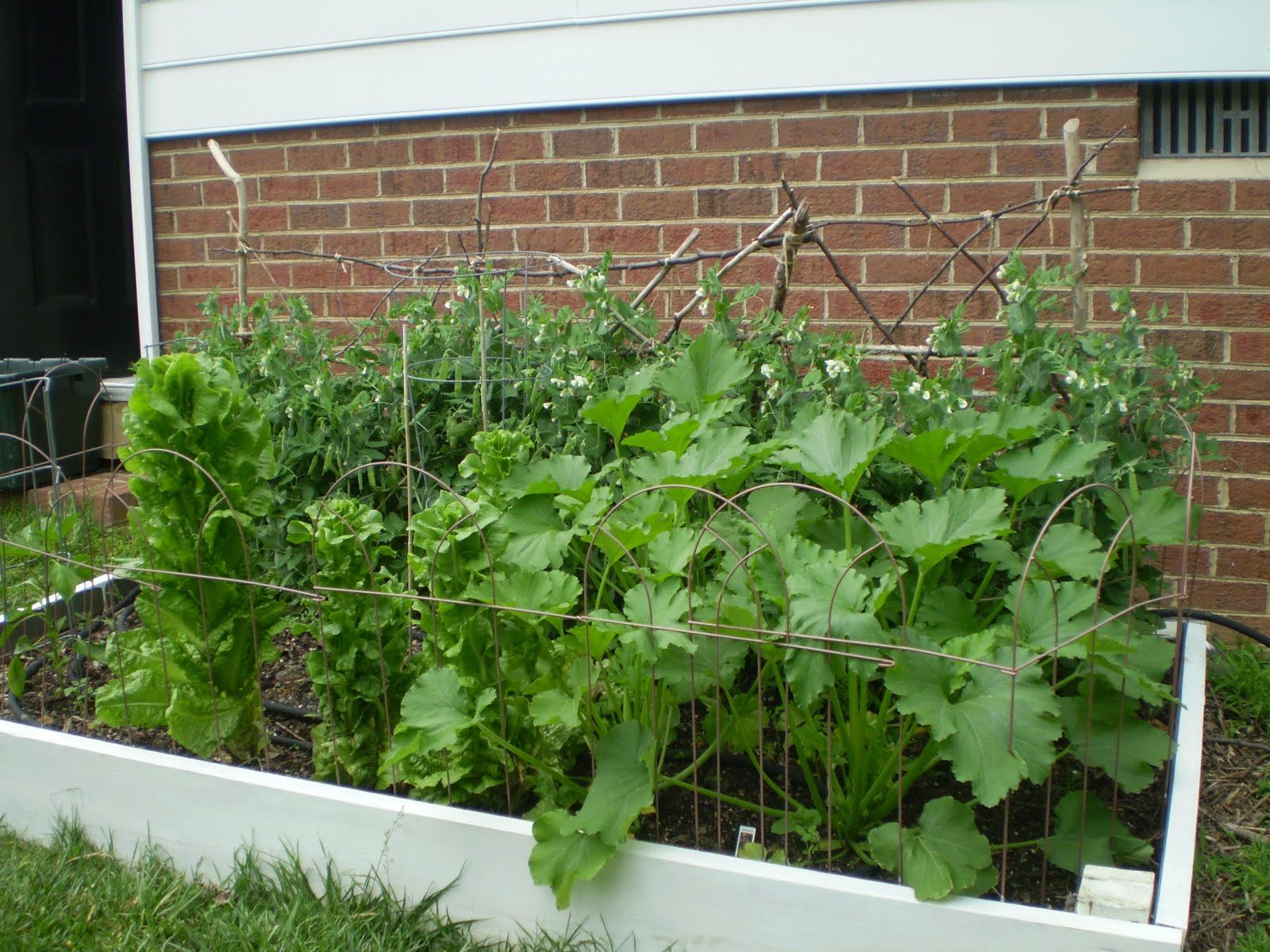 Bright As Yellow How To Garden Twig Trellis