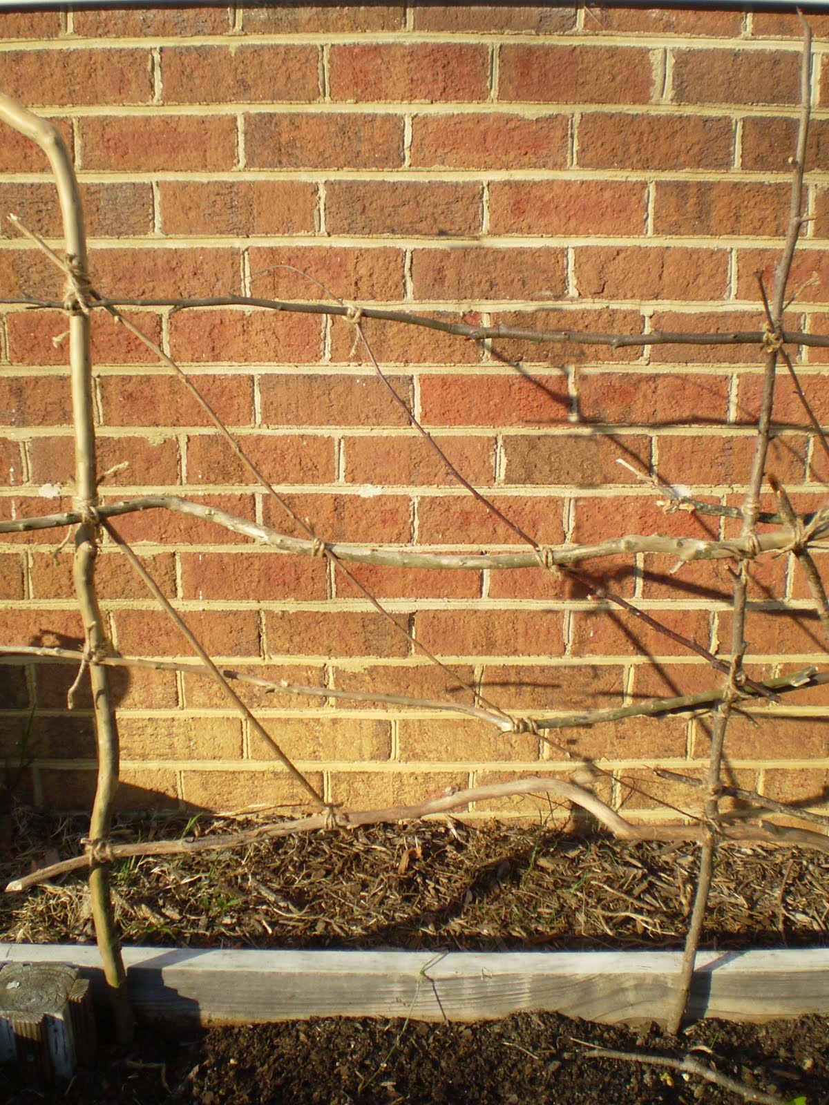 Bright As Yellow How To Garden Twig Trellis