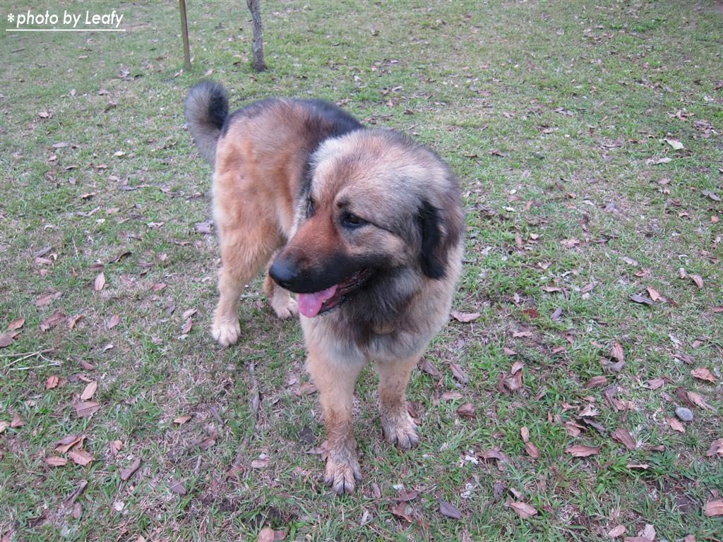 [IMG_0992+(Large).jpg]