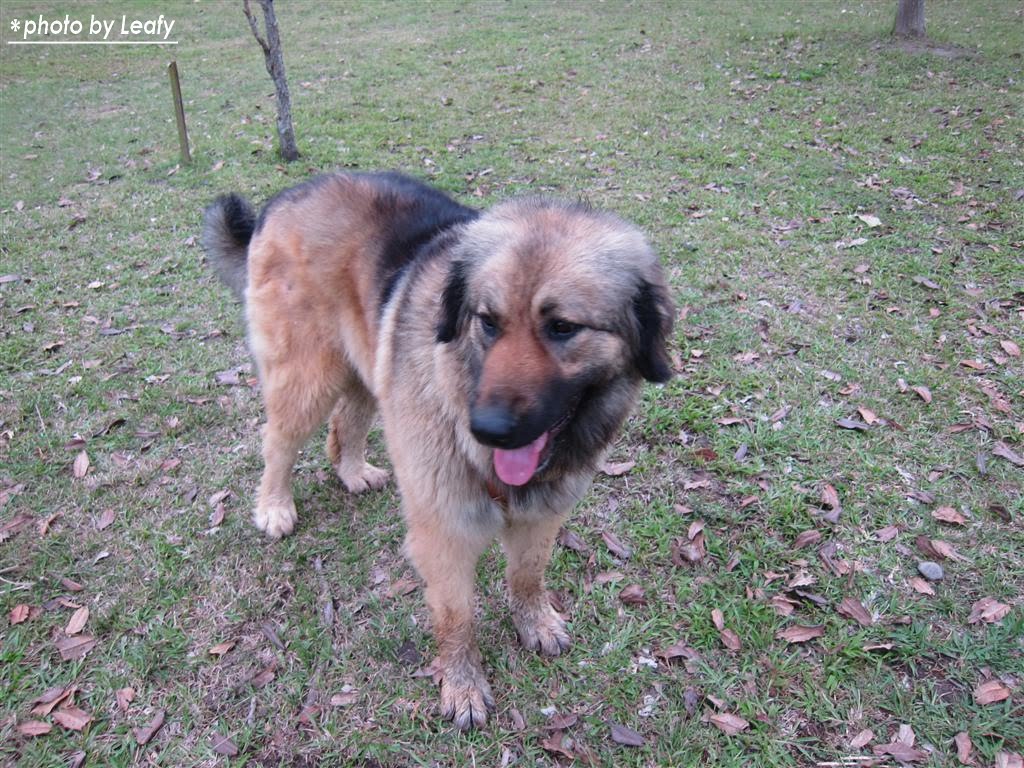 [IMG_0993+(Large).jpg]