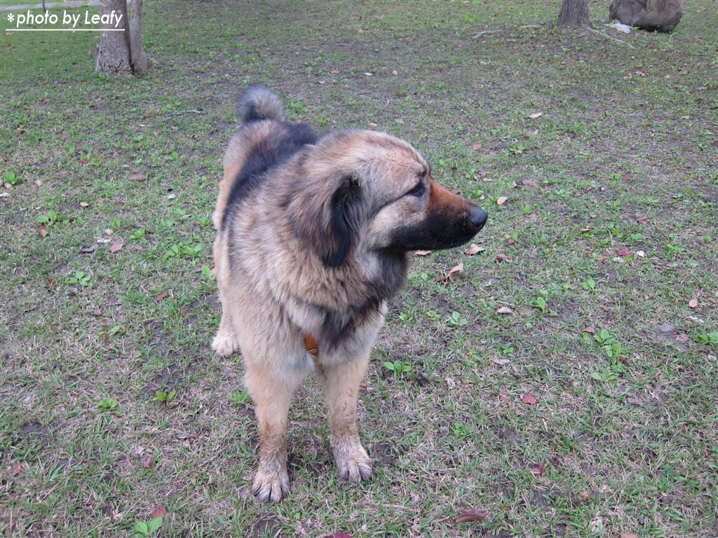 [IMG_0989+(Large).jpg]