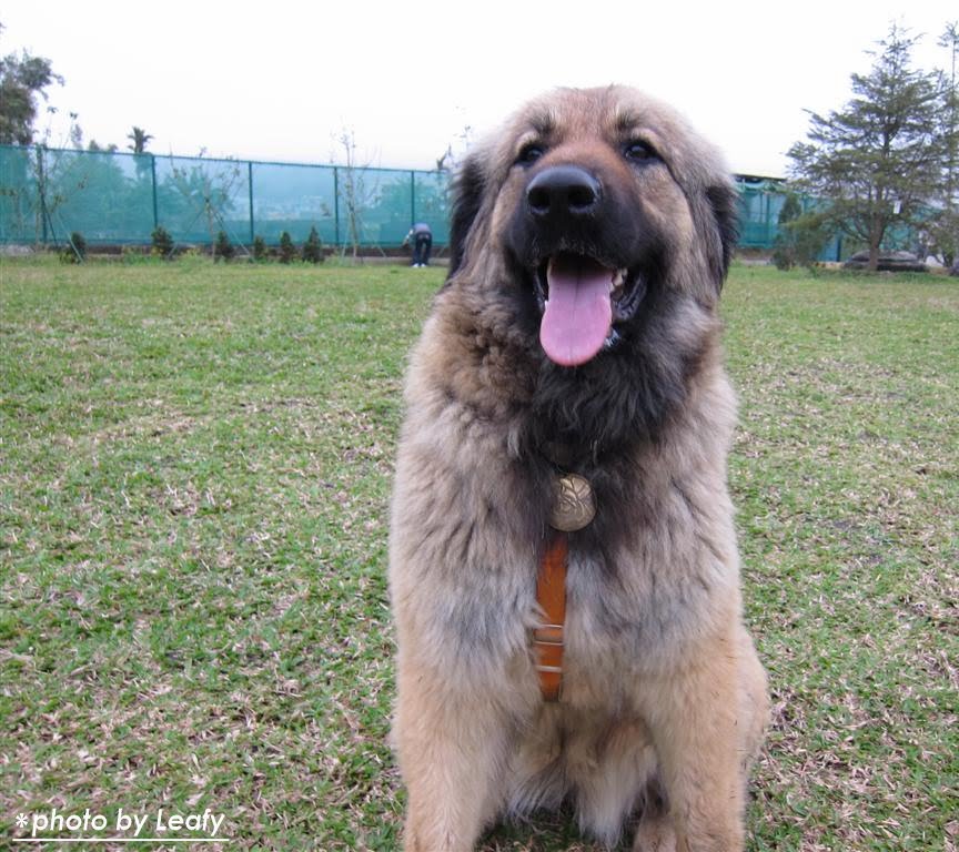 [IMG_0998+(Large).jpg]