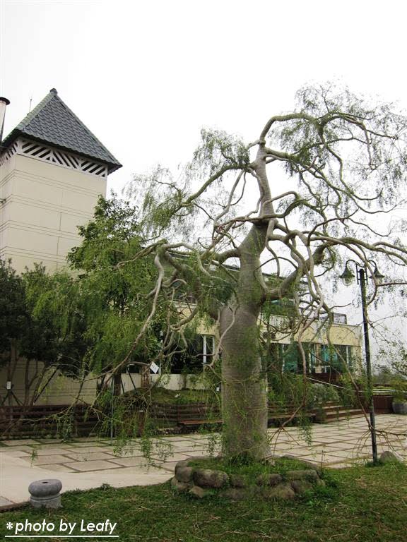 [IMG_1002+(Large).jpg]