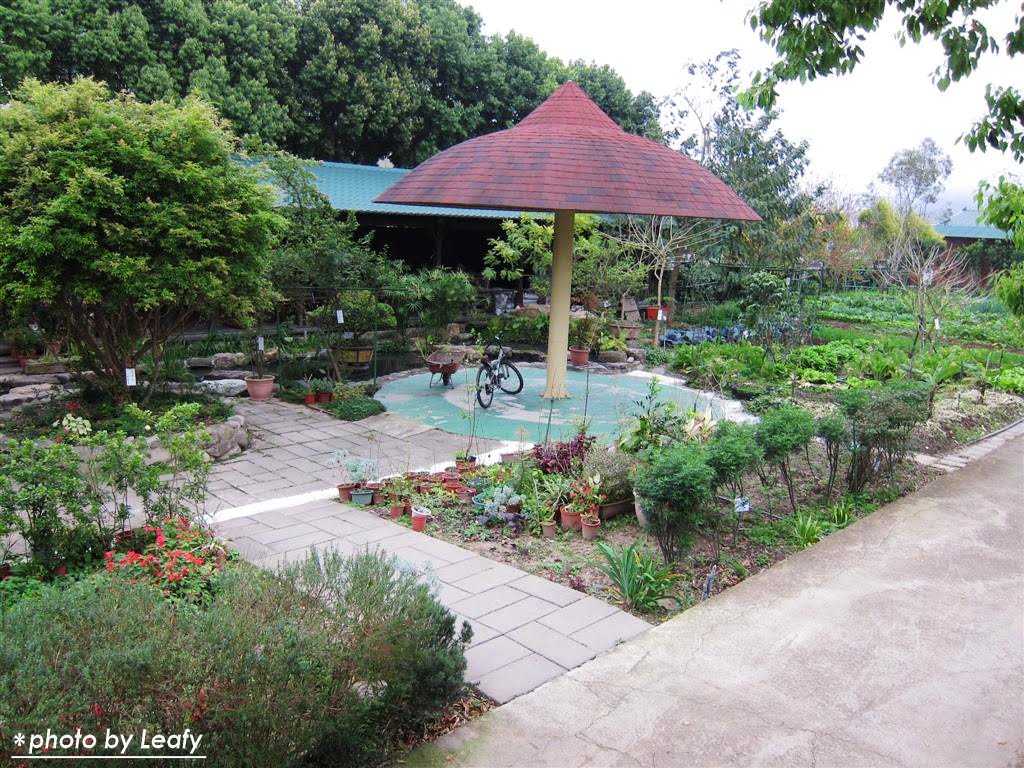 [IMG_1021+(Large).jpg]