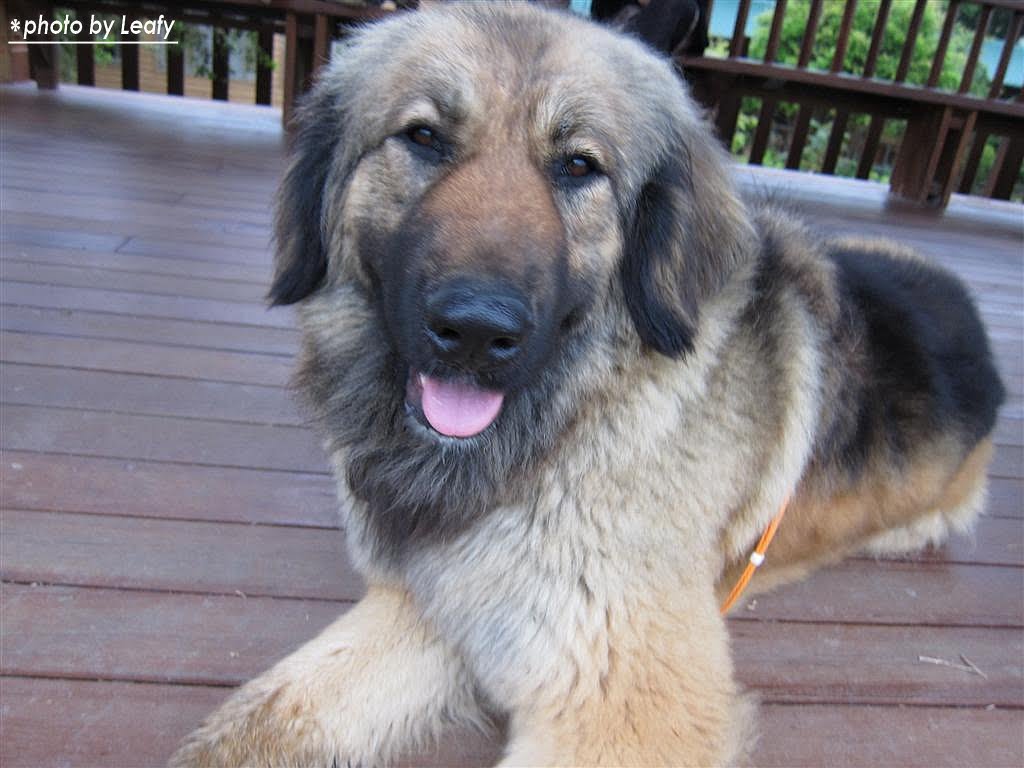 [IMG_1040+(Large).jpg]