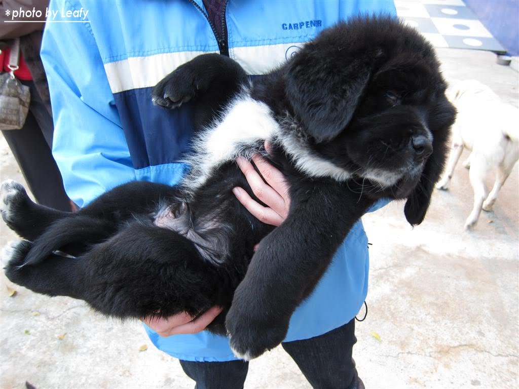 [IMG_1272+(Large).jpg]