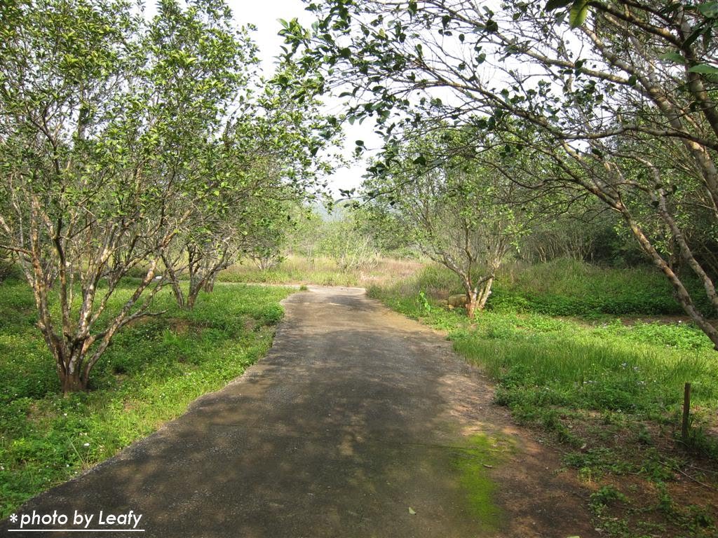 [IMG_1207+(Large).jpg]