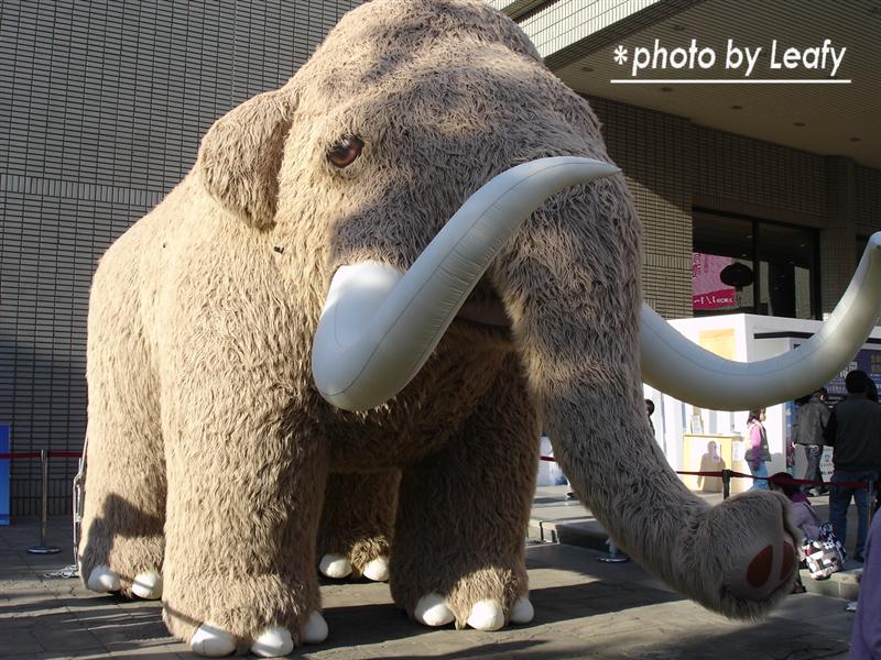 [照片+4201+(Medium).jpg]