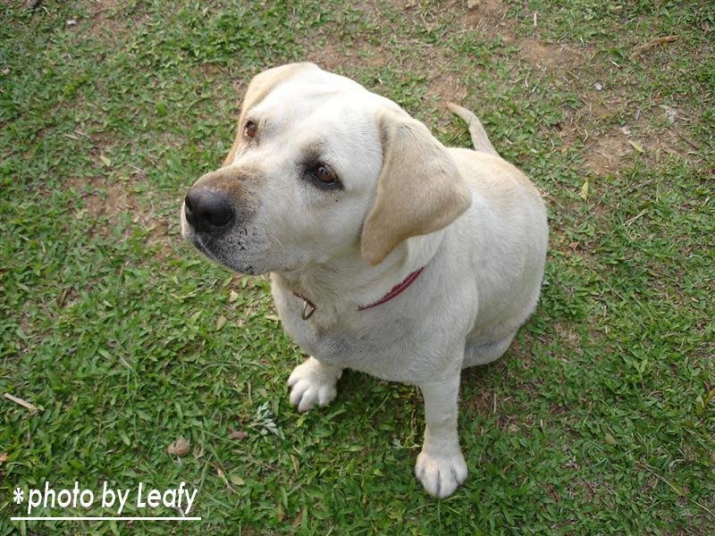 [照片+4729+(Medium).jpg]