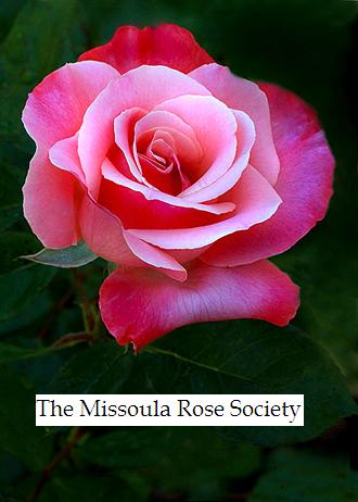 The Missoula Rose Society