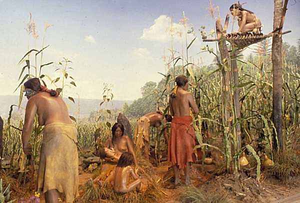 What Natural Resources Did The Wampanoag Have What Natural Resources Did The Wampanoag Have