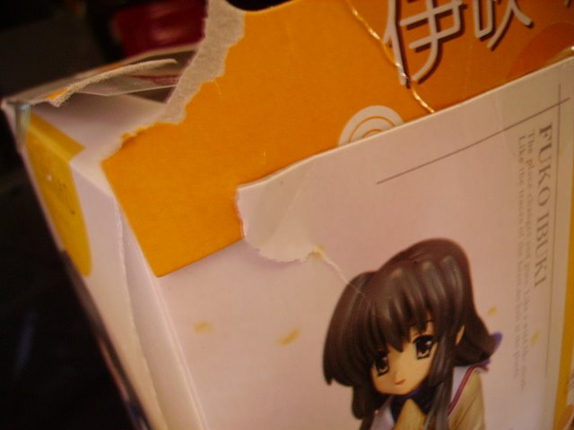 [PICT9526.JPG]