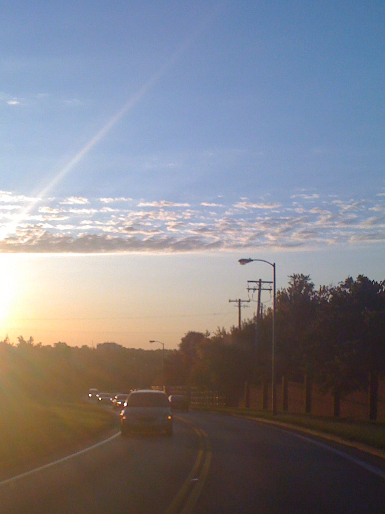 [IMG_0337.JPG]