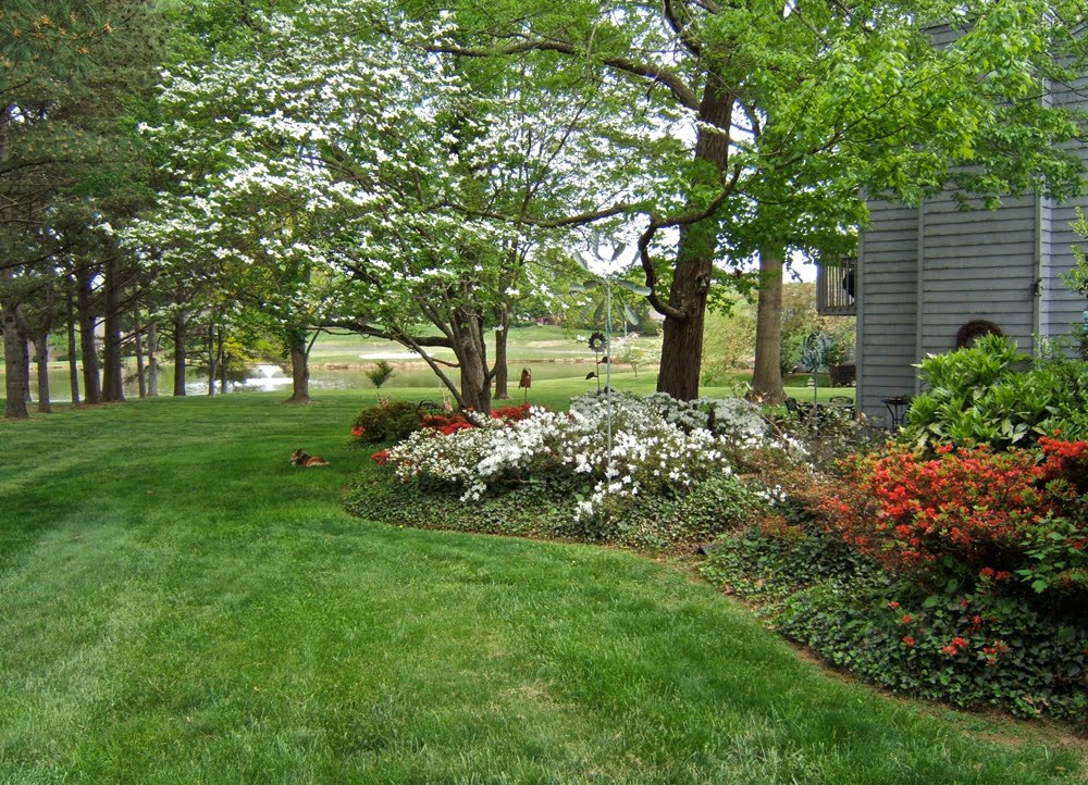 Nellie's Needles Glorious Spring Flowers