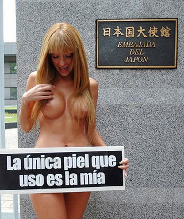 [ima06.jpg]