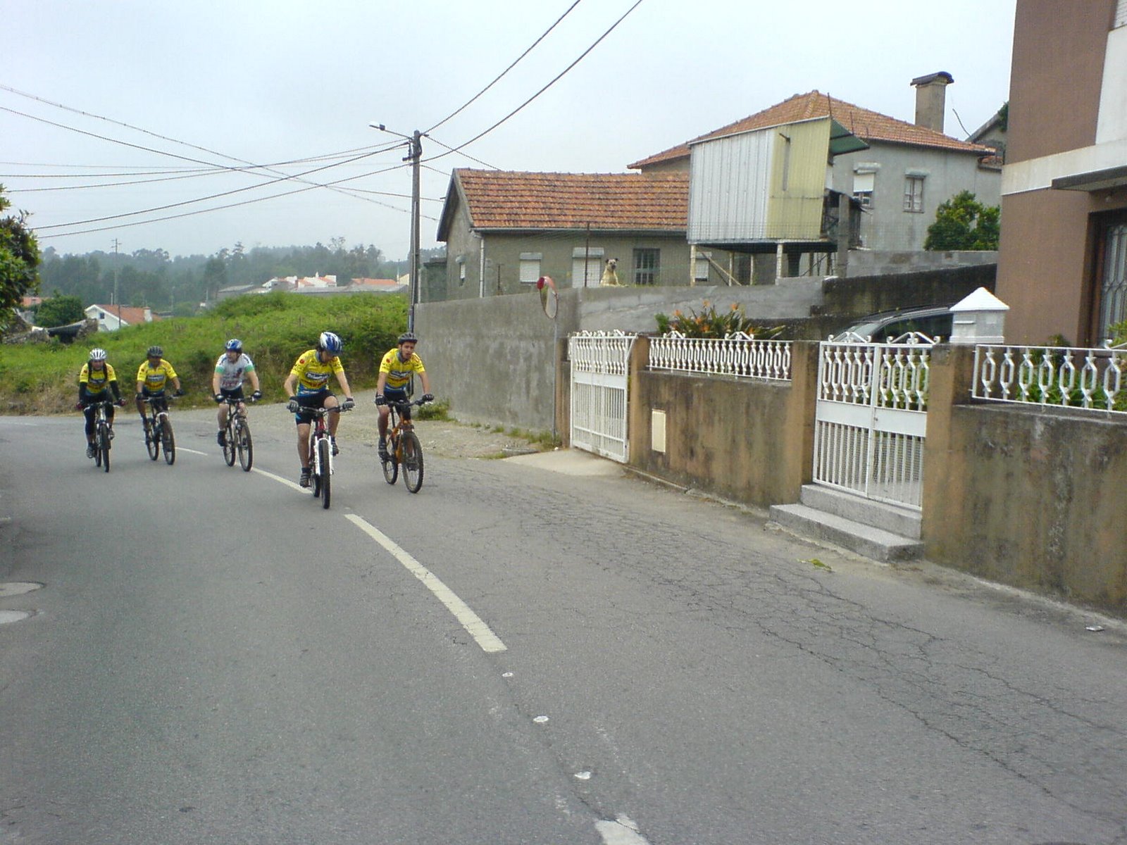 [DSC07956.JPG]