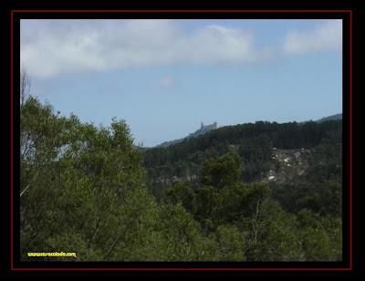 Palácio da Pena Palácio da Pena