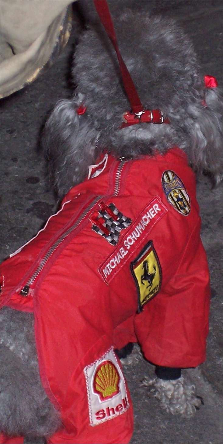 [ModenaSchumacher.jpg]