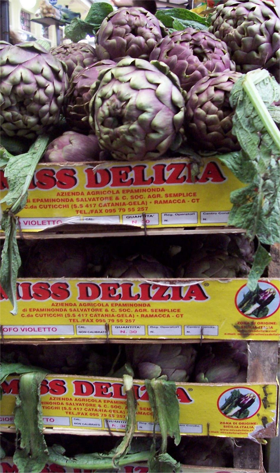 [ModenaArtichokes.jpg]