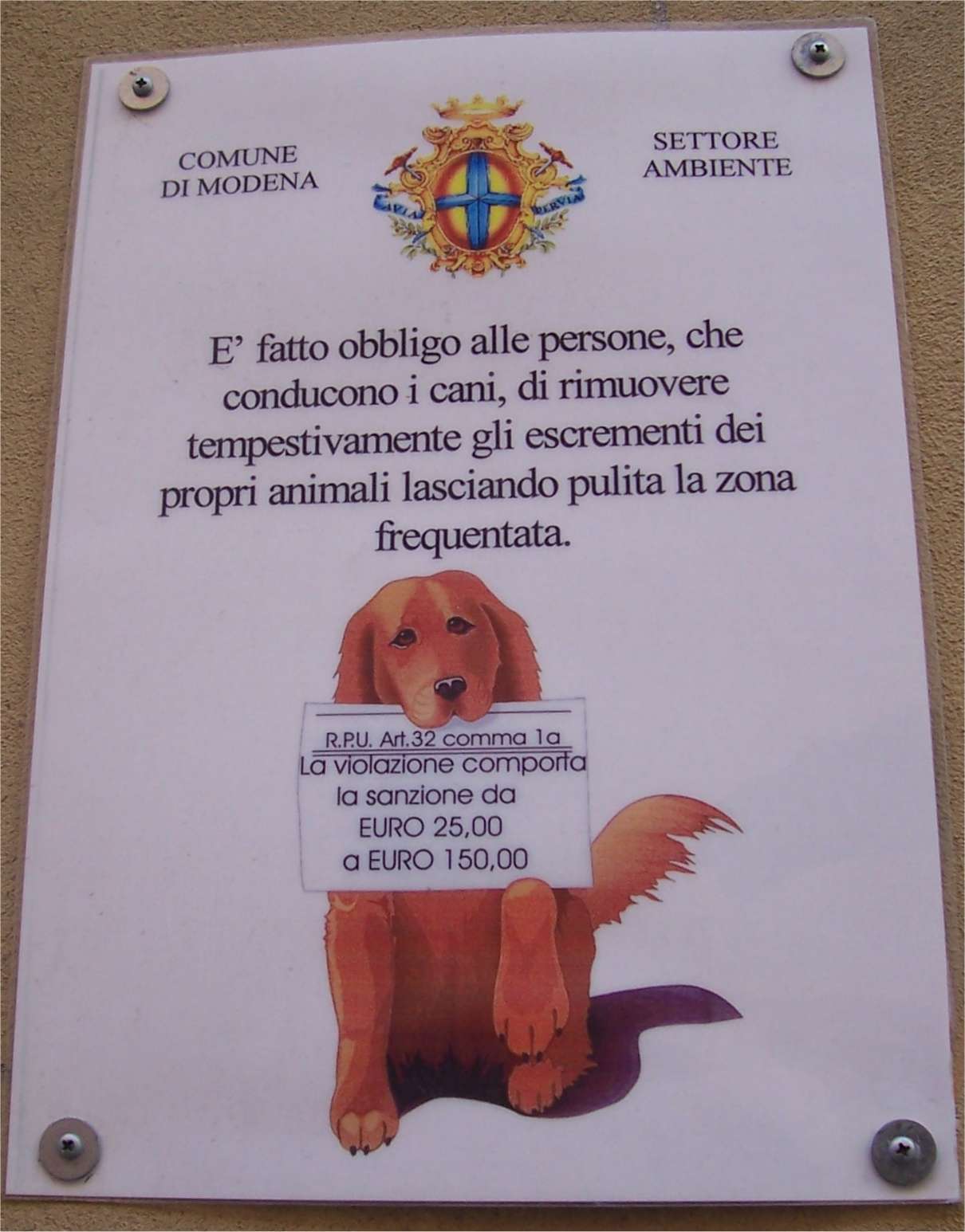 [ModenaDogs.jpg]