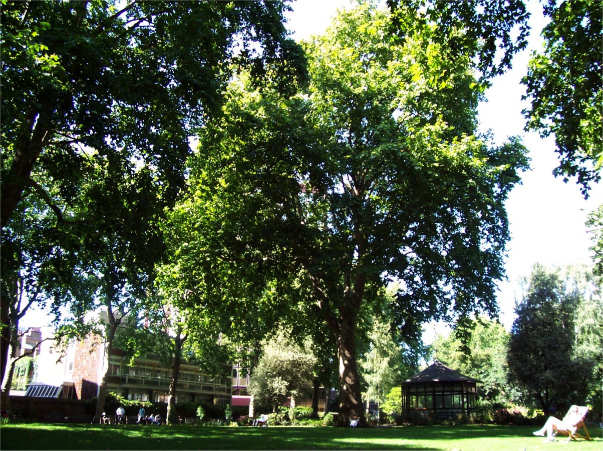 [27AugLondonPaddingtonGdns1.JPG]