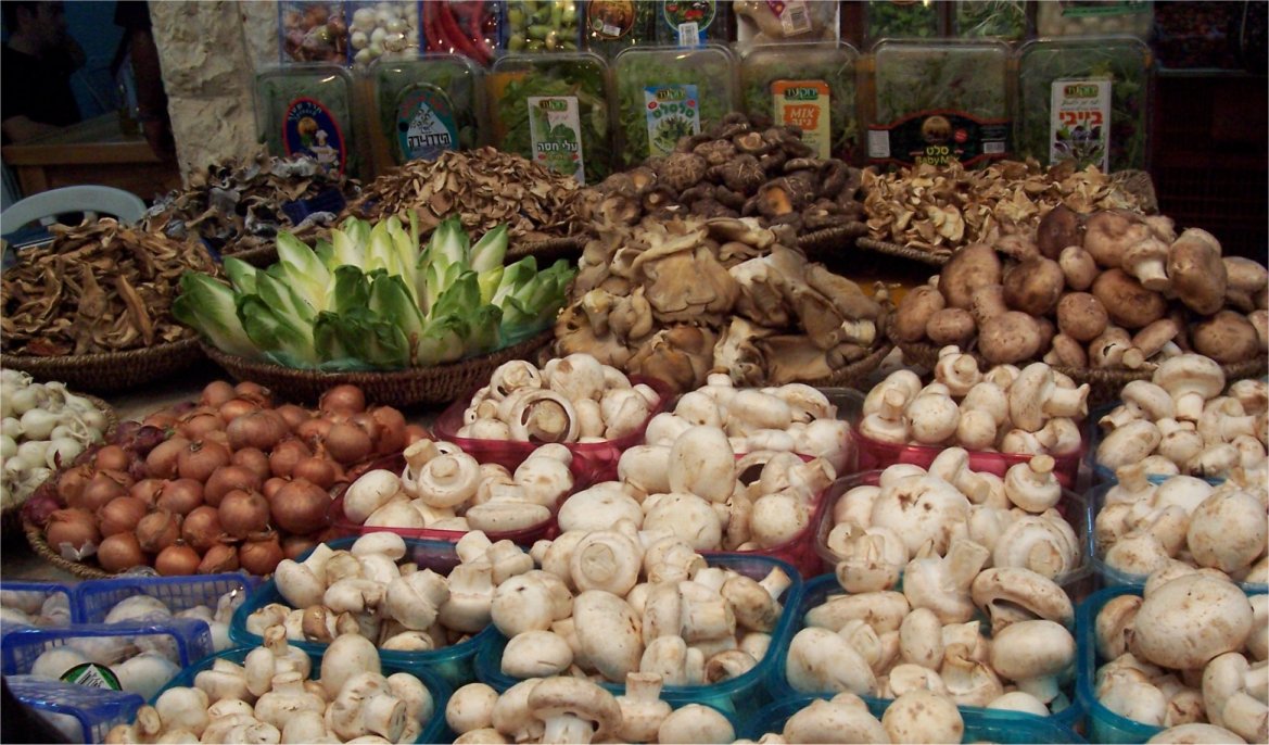 [20071019ShukMushrooms.JPG]