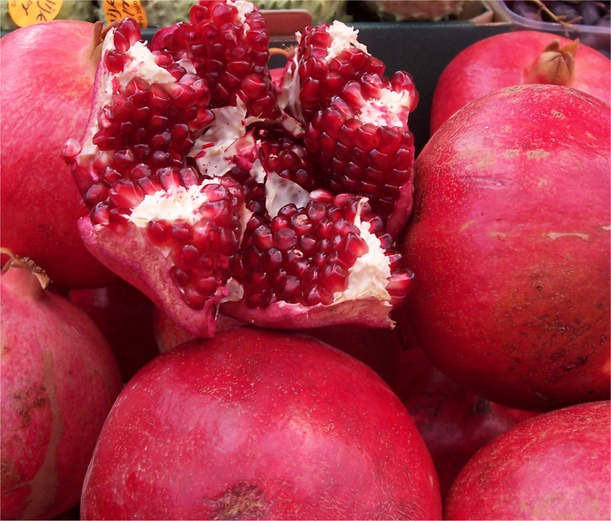 [20071019ShukPomegranates.JPG]