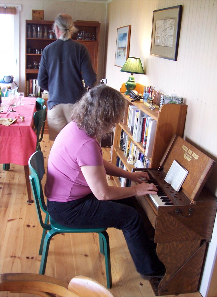 [TravellingOrgan.jpg]