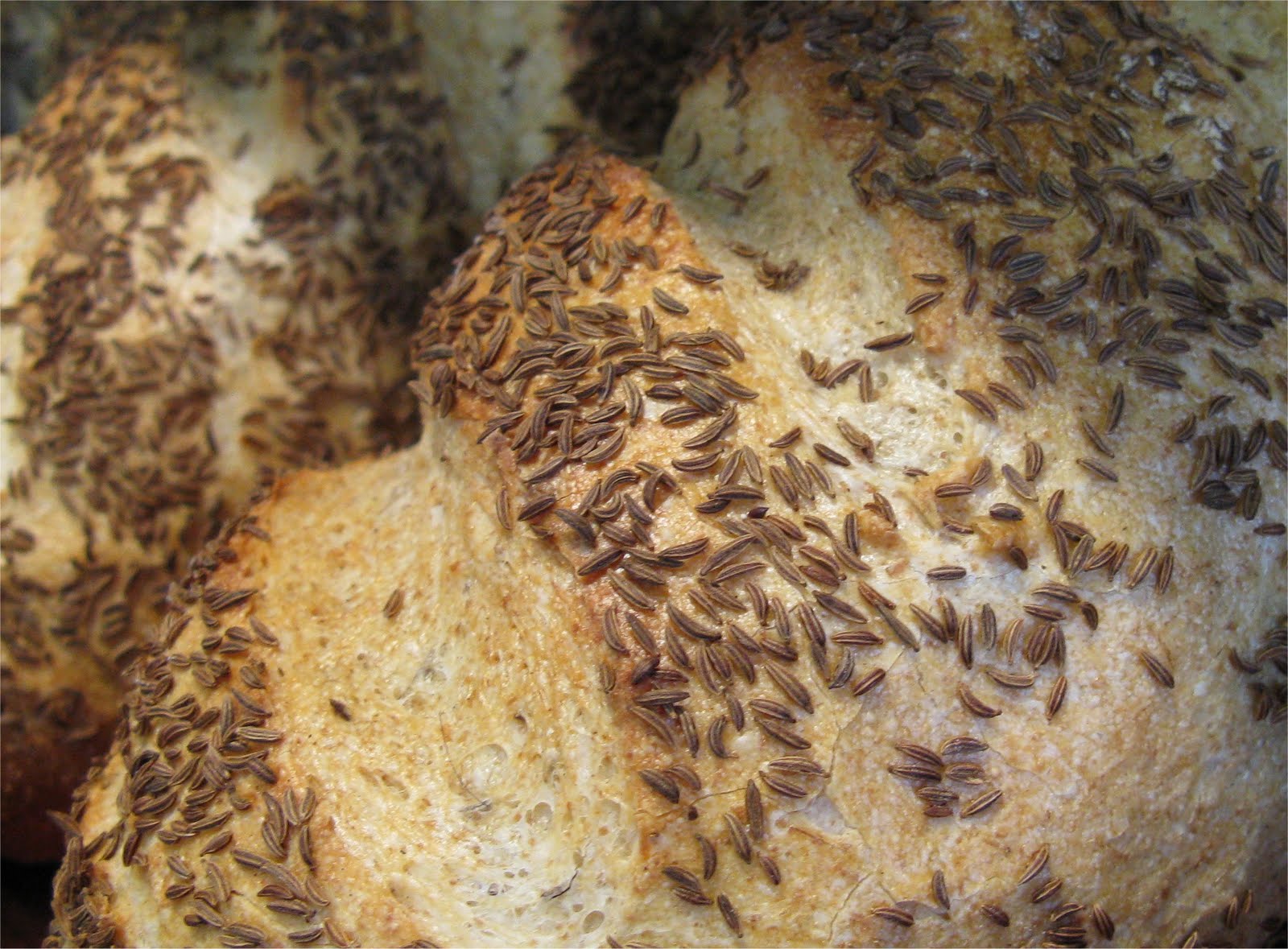 [WildFlourBread2.jpg]