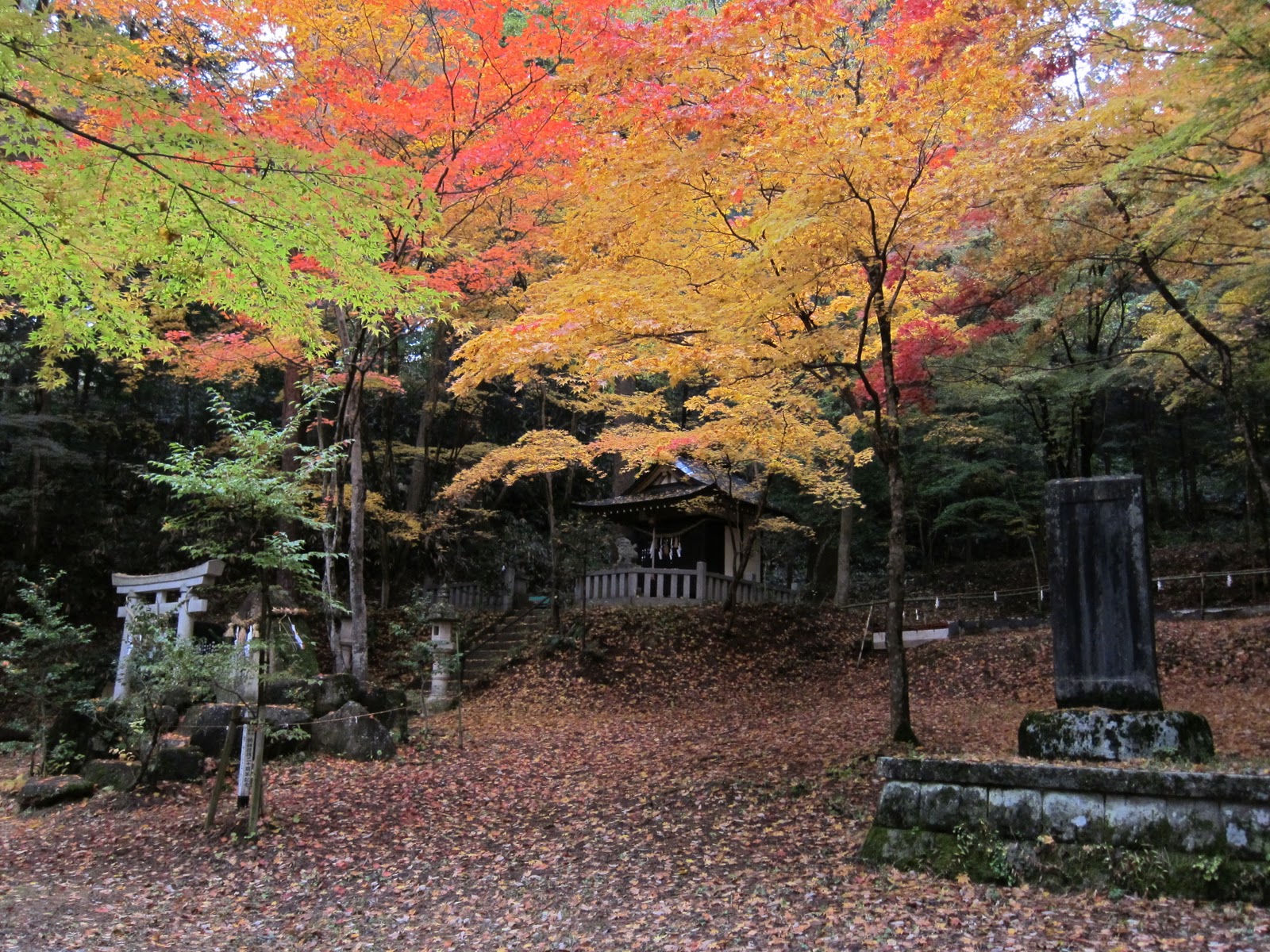 Japan Fall