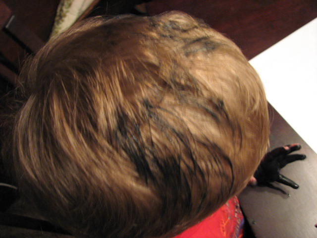 [IMG_2741.JPG]